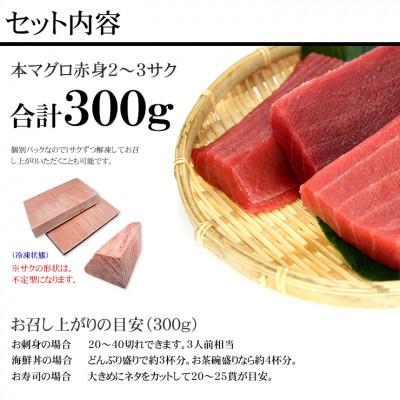 ふるさと納税 いわき市 本マグロ赤身　約300g　解凍レシピ付き　1サクずつ真空包装 |  | 01
