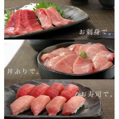ふるさと納税 いわき市 【2ヵ月毎定期便】本マグロ大トロ・中トロ・赤身セット 真空包装 [計約500g]全3回 |  | 03