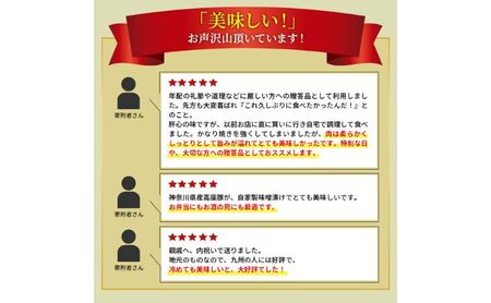 豚肉 味噌漬け ロース 10枚入り おおくぼの豚みそ漬 観光庁 「世界にも通用する究極のお土産」 ノミネート 肉 お肉 豚 豚ロース 加工品 惣菜 おかず ご飯のお供 高座豚 焼くだけ 簡単 時短 料
