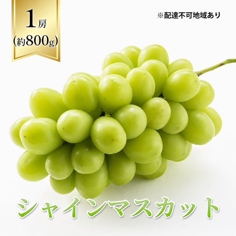 【2026年先行予約】 ぶどう 岡山県産 シャインマスカット  1房箱（約800g） 《2026年10月中旬-11月下旬頃出荷》 葡萄 ブドウフルーツ 果物 スイーツ 数量限定 期間限定 岡山 里庄町 ブドウ ぶどう 葡萄