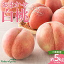 【ふるさと納税】【仲野観光果樹園】≪2025年先行予約≫ご家庭用 山形県産 おまかせ 白桃 約5kg(12～20玉) 2025年8月上旬から順次発送 F2Y-6116