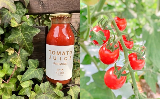 【自家用】≪有機JAS認証≫プレミアム トマトジュース（180ml×30本）とまと 飲料 トマト トマトジュース 無添加 無塩 野菜飲料 野菜ジュース 中玉トマト フルティカ 使用【谷下農園】【61-
