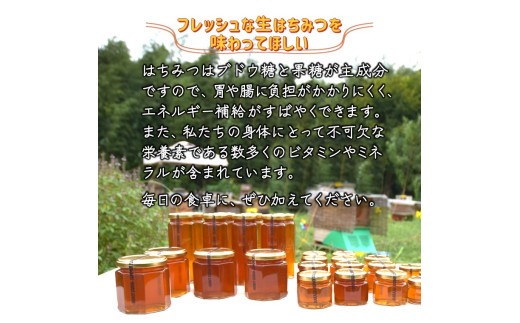 はちみつ 国産 非加熱 ハニービーズコレクション“しろいの季節”のはちみつ 40g 純粋生はちみつ お試しサイズ