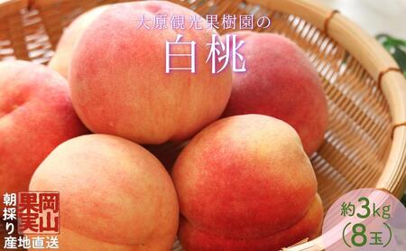 ＜数量限定＞［大原観光果樹園］岡山県産 旬の朝採れ白桃 1箱（約3kg 8玉）【2025年発送】［026-a020］