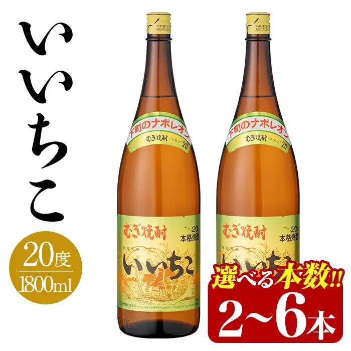 いいちこ ビン 20度(1800ml×2本)酒 お酒 焼酎 麦焼酎 アルコール 三和酒類【114002300】【一般社団法人　地域商社USA】