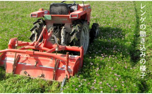 【先行予約】レンゲ栽培米 夢つくし 4.5kg 【2025年10月以降順次発送】《築上町》【久楽農園】 [ABAT001] 精米 お米 こめ コメ ご飯