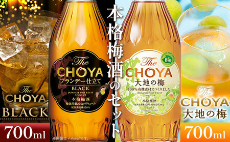 【9月30日受付終了】The CHOYA BLACK 700ml The CHOYA 大地の梅 700ml 計2本
