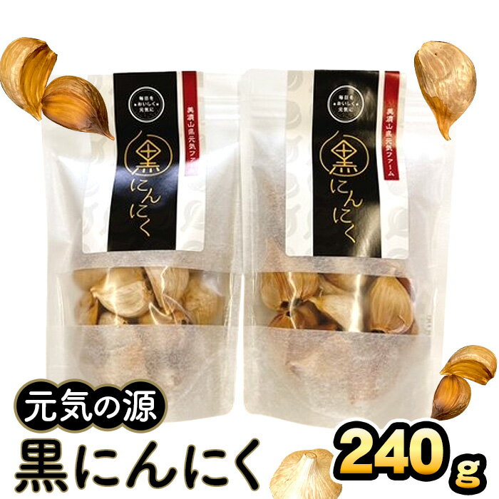 【ふるさと納税】元気の源　黒にんにく　240g [No.672] ／ ニンニク 大粒 送料無料 岐阜県
