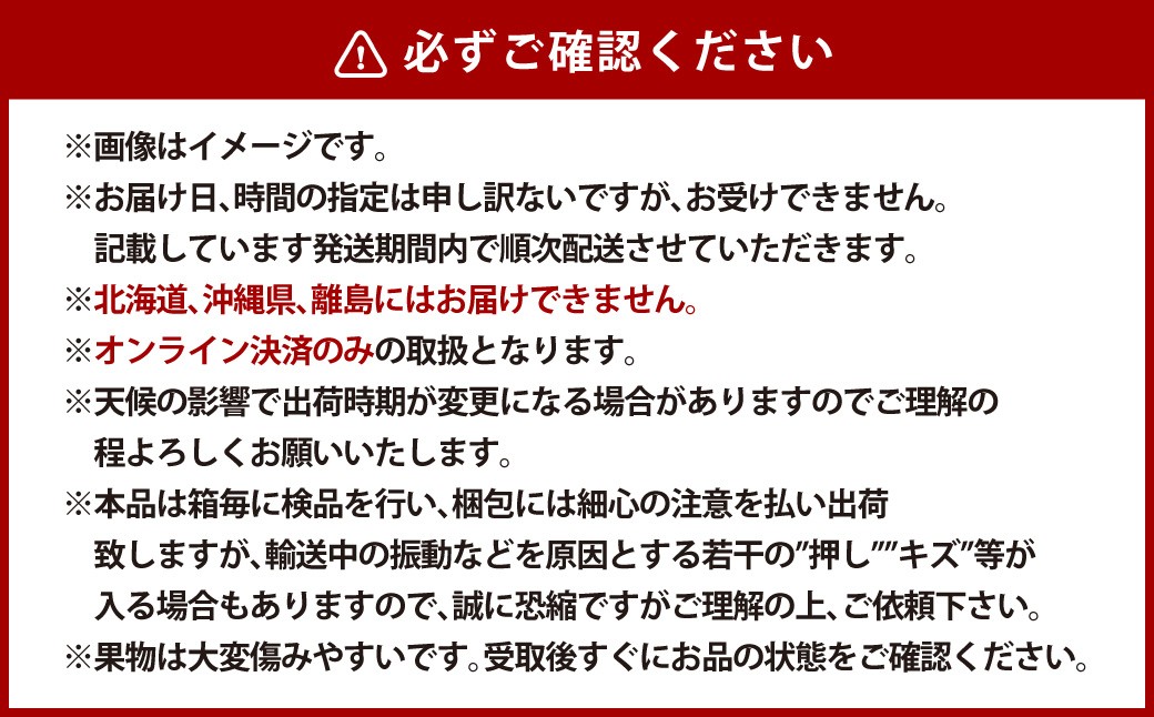 【全2回定期便】家庭用 シャインマスカット 晴王 2房（1房約530g以上）＋ NEWS PAPER BAG（INDIGO）