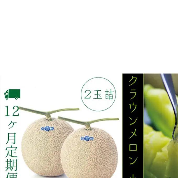 メロン 12ヶ月 定期便 クラウン 白等級 小玉 2玉 メロン