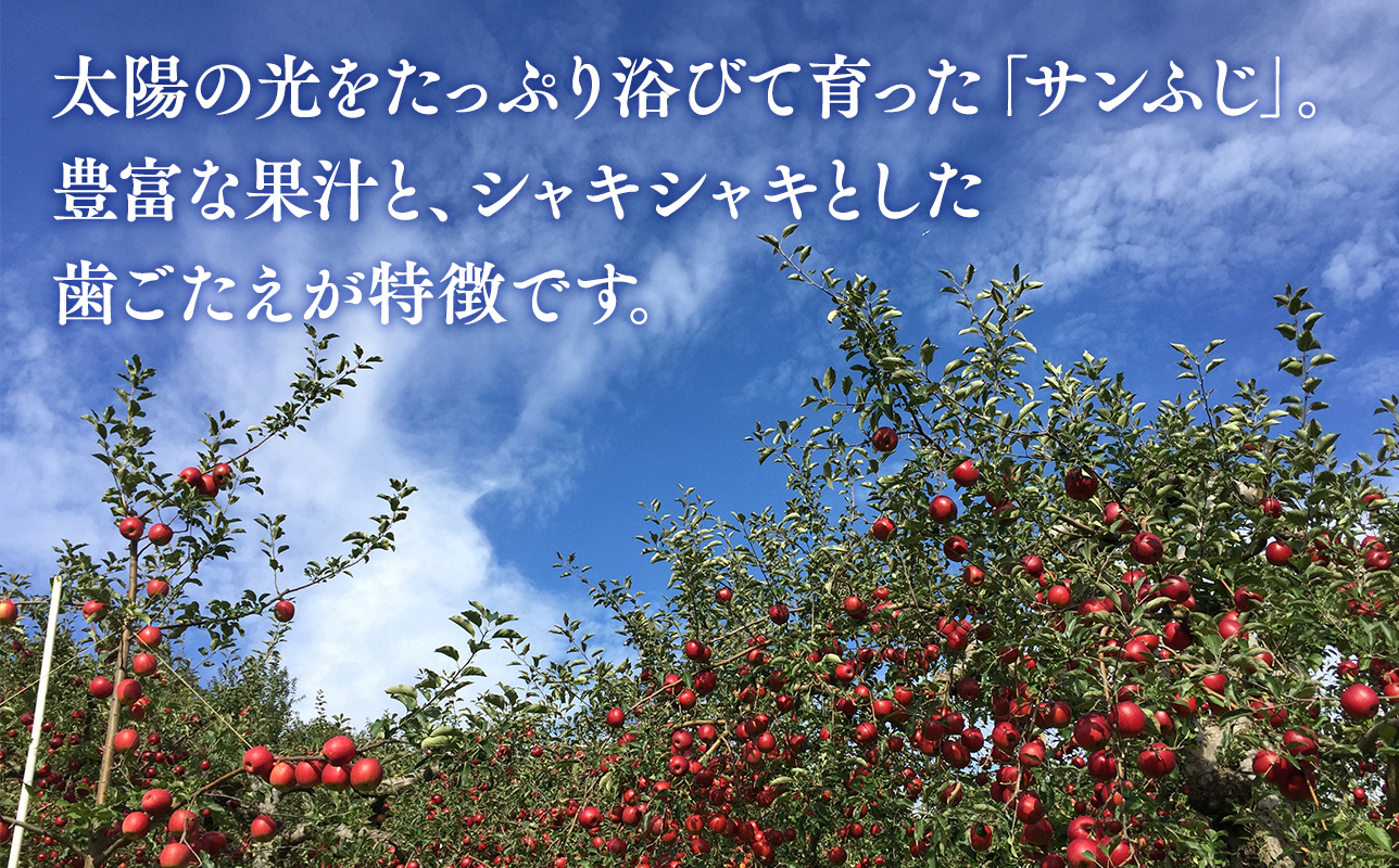 ≪令和8年産先行受付≫贈答用 サンふじ/ぐんま名月 詰め合わせ約5㎏【青森県 平川市 山内ファーム】贈答 青森りんご りんご リンゴ 林檎 サンフジ ふじ 群馬名月 お取り寄せ 先行予約 果物 くだも