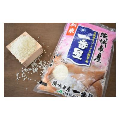 ふるさと納税 行方市 令和8年産　早場米「一番星」4kg(精米)&amp;季節の野菜(8〜10種)セット