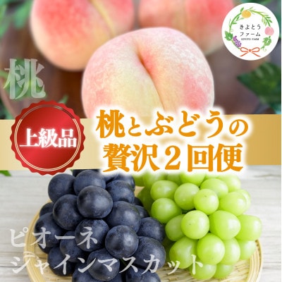 【発送月固定定期便】【きよとうファーム】桃とピオーネ＆シャインマスカット贅沢2回便(岡山県産)全2回【配送不可地域：離島・北海道・沖縄県】