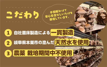 訳あり 生しいたけ 約 1.2kg 大容量 サイズ 混合 不揃い おまかせ 簡易梱包 のため 訳アリ BBQ 春 夏 秋 冬 野菜 栽培期間中 農薬不使用 岐阜県産 本巣市 国産 きのこ キノコ シイ