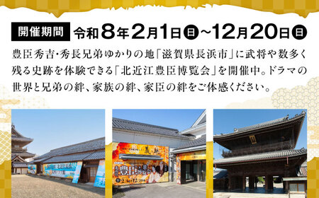 北近江豊臣博覧会3施設共通券 [AQDR001]