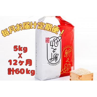 ふるさと納税 十日町市 【毎月定期便】[通年受付]魚沼産新之助精米5kg全12回