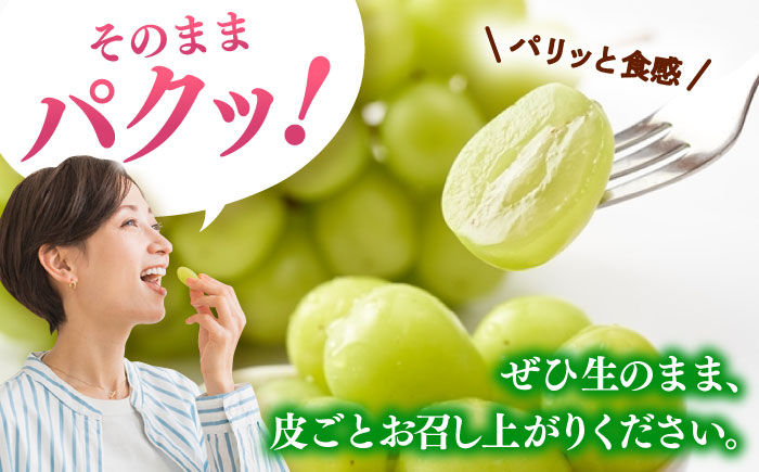 【2025年分発送 先行予約】シャインマスカット 計1.4kg（2房入り） / シャインマスカット ぶどう フルーツ 果物 / 佐賀県 / 石橋果樹園 [41AAAJ001]