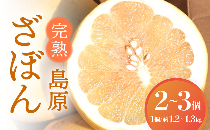 
            【2025年12月中旬～発送】【ビタミンCたっぷり！】完熟 島原 ざぼん 2〜3個 南島原市 / 中邨 [SAG008]
          
