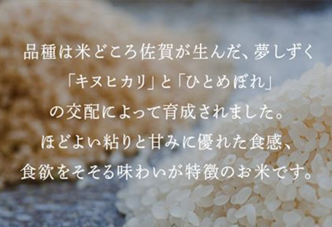 米の食味ランキング3年連続「特A」評価！ 唐津産特別栽培 夢しずく 15kg