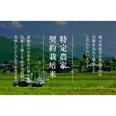 ふるさと納税 南魚沼市 【毎月定期便】雪温精法　南魚沼産新之助 精米 6kg　全6回 |  | 01