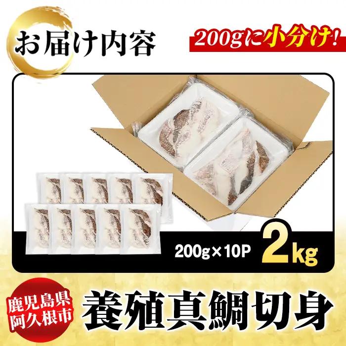養殖真鯛切身(約2kg) 鹿児島県 阿久根市 たい タイ 真鯛 魚貝 魚介 海産物 切身 切り身 煮物 煮つけ 焼き魚 おかず おつまみ 小分け 【さるがく水産】akn028-47