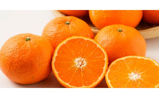 贈答用 森本農園の手選別 津の輝 約3kg 和歌山県産 L～2Lサイズ［北海道・沖縄・離島配送不可］［RN142］