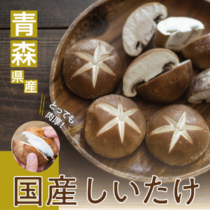 しいたけ　1kg(500g×2袋)【11月より順次発送】国産肉厚青森きのこ