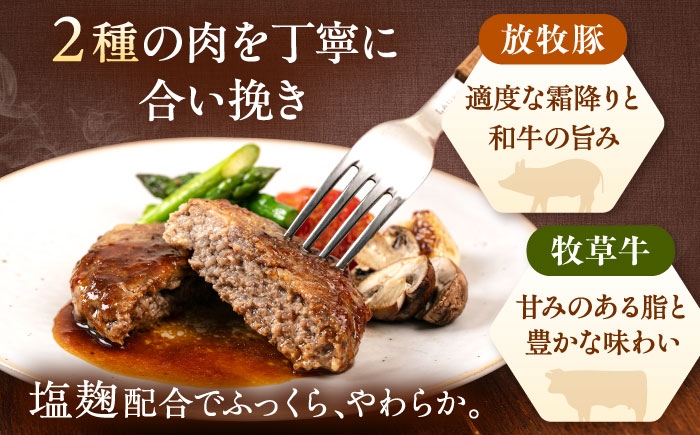 ハンバーグ 牛肉 豚肉 合い挽き 小分け 冷凍