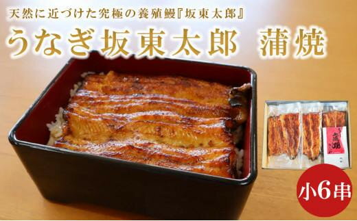 【ふるさと納税】 うなぎ坂東太郎 蒲焼 小6串 うなぎ 蒲焼 グルメ 鰻 ウナギ ブランド 冷凍 加工品 惣菜 セット お取り寄せ 真空パック 坂東太郎