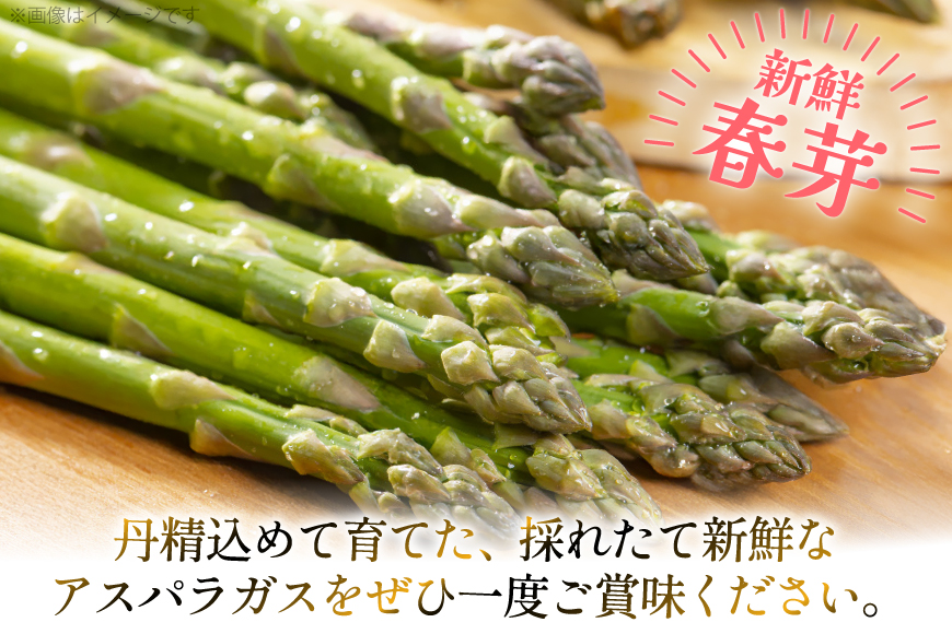 アスパラ アスパラガス 春芽アスパラガス 3kg M L サイズ混合 [はゆっちFARM 長崎県 東彼杵町 hs42bag360016] アスパラ あすぱら 新鮮 春