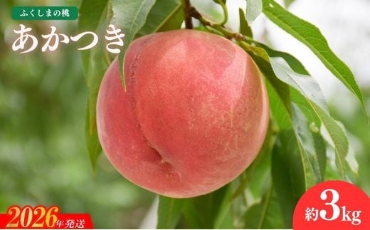 No.1818もも「あかつき」約3kg【2026年発送 先行予約】