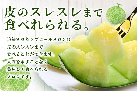 【2026年分 予約】先行予約 「旭メロン (品種：ラブコールメロン）」2玉 (合計約3.5kg以上) 2026年6月中旬～発送開始【 ごほうび めろん 青肉 メロン 大玉 たっぷり 果汁 果物 フル
