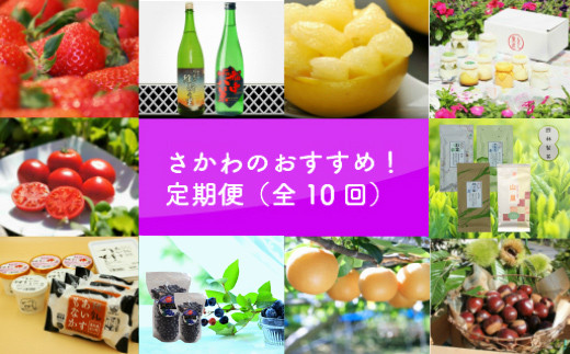 佐川のおすすめ！定期便（全10回）