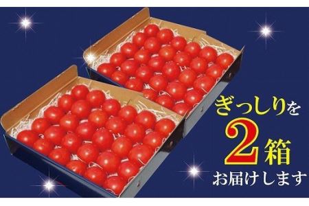 トマト 2箱 約70個 かがやき トマト 令和8年