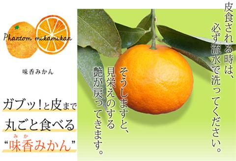 『先行予約』【令和7年2月上旬発送】果皮も丸ごとガブッ！味香みかん 3kg 新種のミカン フルーツ 果物 デザート 柑橘