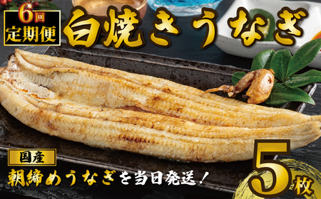 国産うなぎ 白焼き 5枚 約120g×6 定期便6回 うなぎ うなぎ うなぎ うなぎ うなぎ 石毛川魚店