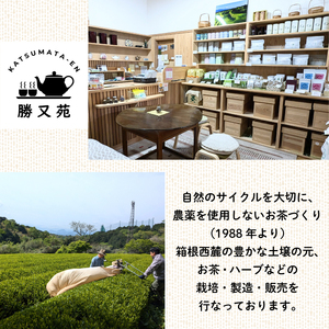 緑茶 やぶきた 中煎茶 200g (100g×2袋) 国産 静岡茶