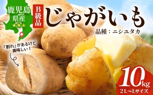 【先行予約】【B級品】(割れ) 鹿児島 最南端 じゃがいも 馬鈴薯 (バレイショ) ≪2L～L≫ 約10㎏×1箱 /品種ニシユタカ (約30個) ≪2026年3月20日頃より順次発送≫ CS-2 |  家庭用 南大隅町産 産地直送 旬 ポテト ジャガイモ ばれいしょ 新じゃが 春じゃが 春作 国産 鹿児島県 南大隅町 地域商社推進機構