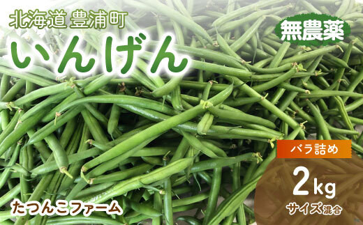【2026.7月以降順次出荷】さやいんげん 2kg バラ詰め サイズ混合 北海道 豊浦町 【 ふるさと納税 人気 おすすめ ランキング 野菜 根菜 いんげん さやいんげん インゲン国産 バラ 詰合せ 混合 おいしい 美味しい 甘い 北海道 豊浦町 送料無料 TYUF002