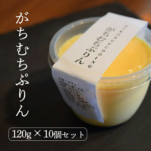【ふるさと納税】ガチムチプリン120g×10個セット