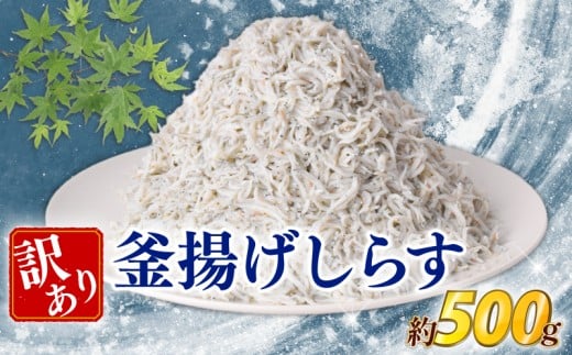 訳あり 釜揚げしらす 約500g しらす 冷凍 大容量 惣菜 便利 弁当 晩ごはん 白州 白子魚介類 魚介類 海鮮 わけあり 小魚 魚 鮮魚 グルメ 人気 海の幸 ふりかけ ちりめん しらすご飯 国産 じゃこ しらす丼 人気 塩分控えめ 減塩 安芸市 高知県