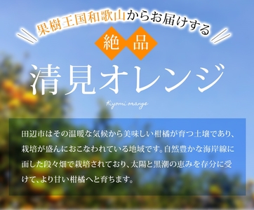 【期間限定・2025/5/15まで】清見オレンジ 4kg※2025年5月から順次発送予定※ / オレンジ きよみオレンジ きよみ 柑橘 フルーツ 果物 和歌山県 田辺市 【nak041】