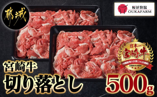 
                  宮崎牛切り落とし500g〔65-005〕_(都城市) 宮崎牛 切り落とし スライス すき焼き しゃぶしゃぶ 牛丼など 500g 250g×2P
                