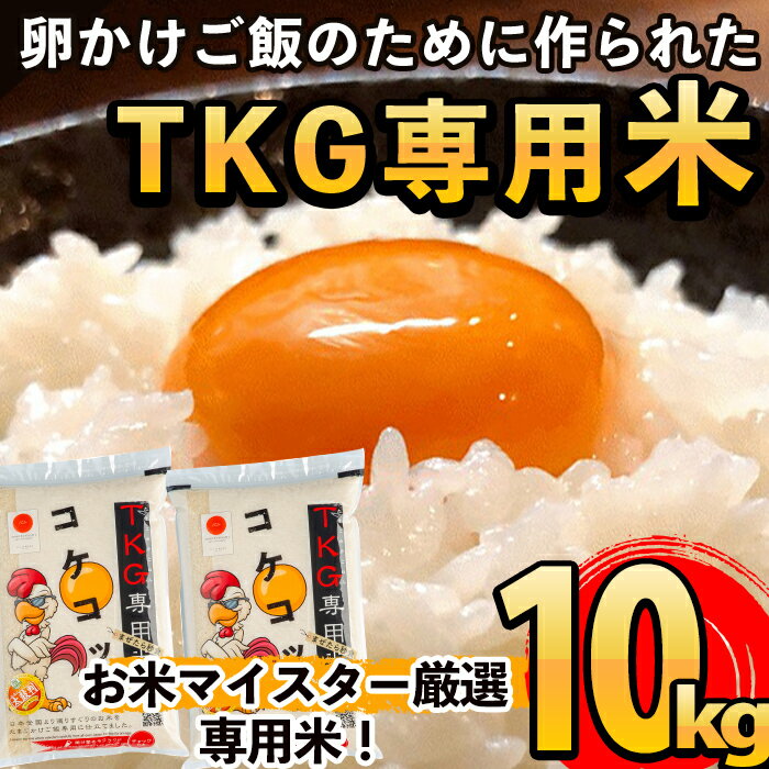 【ふるさと納税】《令和7年産》日本初！卵かけご飯専用のお米！コケコッコ(TKG専用米)計10kg(5kg×2パック)お米 精米 白米 米 お米 こめ コメ【山口米店】