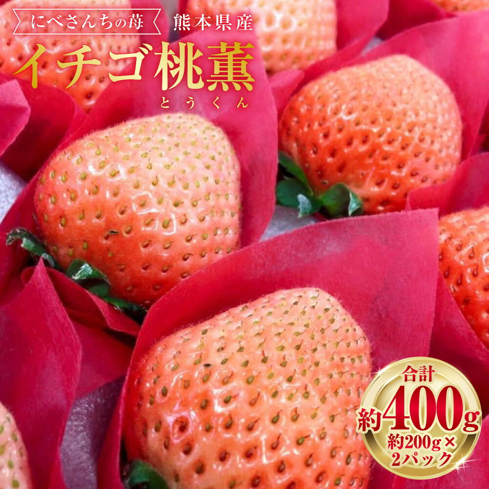 【ふるさと納税】にべさんちの苺 熊本県産 イチゴ 桃薫(とうくん) 約400g 約200g(6～9玉)×2パック いちご 苺 果物 果実 フルーツ くだもの ギフト 贈り物 冷蔵 九州 熊本県 送料無料 【2026年1月下旬発送開始】