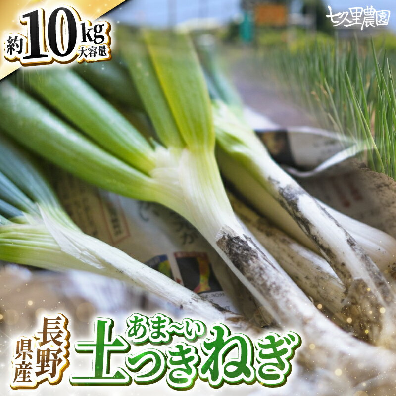 【ふるさと納税】土付き ネギ 約10kg | ネギ 葱 野菜 やさい 新鮮 健康 大容量 長野県 飯田市