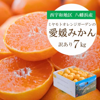 【ふるさと納税】 【先行受付】八幡浜産愛媛みかん2kg/3kg/5kg/7kg/10kg【訳あり】_ みかん ミカン 蜜柑 訳あり 愛媛みかん 7kg 果物 くだもの フルーツ 甘い おいしい かんきつ 柑橘 柑橘類 国産 愛媛 愛媛県 八幡浜市 産直 産地直送 送料無料 【G1166251】 YWTAP075