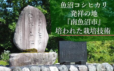 【令和7年産＼新米／】南魚沼産こしひかり「窒素充填2合パック×100袋入」美味しさ長持ち 300g 小袋 便利 精米HACCP認定工場 特A獲得日本一産地 高品質精米 もっちり甘い 南魚沼産コシヒカリ