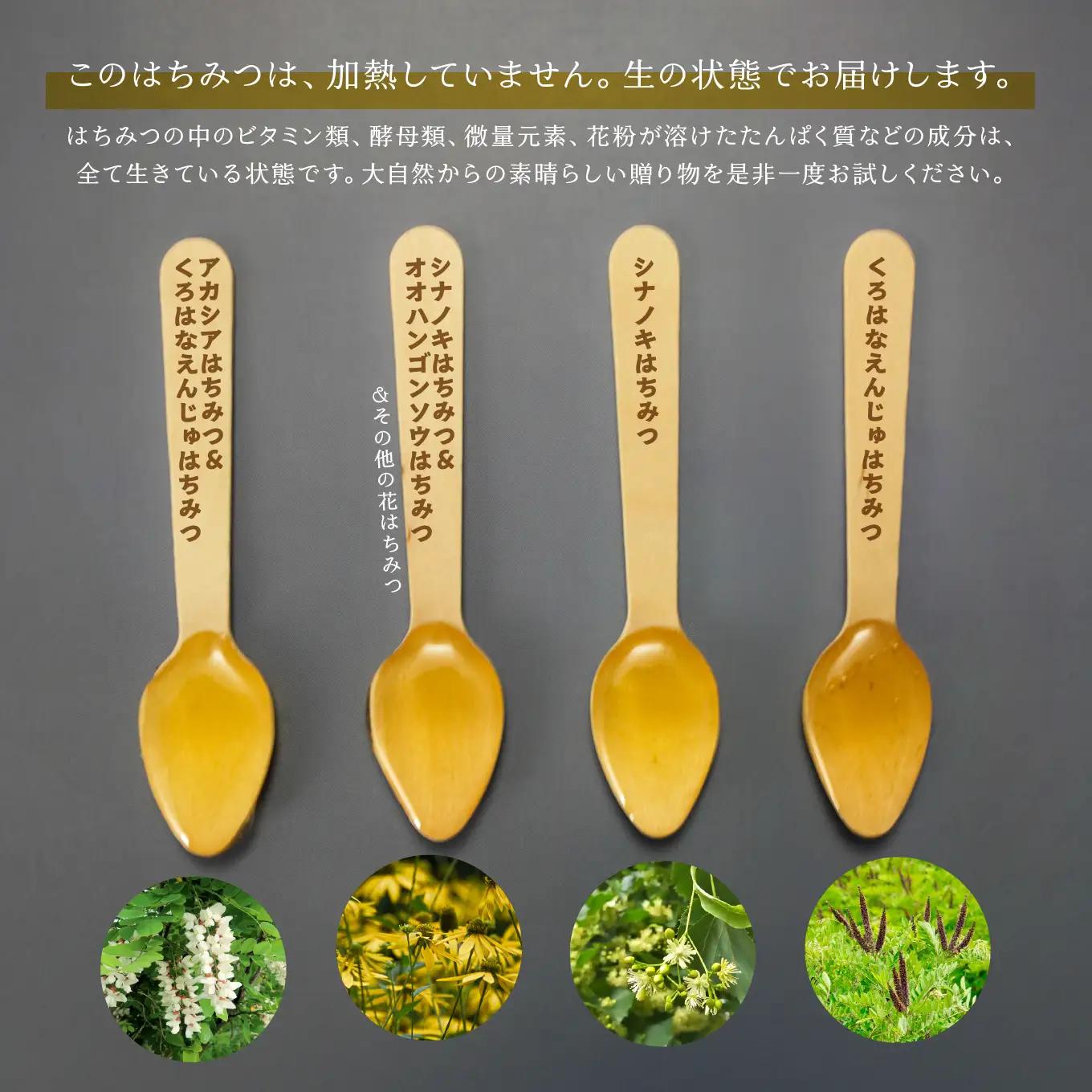 八戸杉村養蜂場 八戸はちみつ物語 お楽しみ4種類セット 【八戸市産・非加熱・生はちみつ100％】 アカシア シナノキ オオハンゴンソウ くろはなえんじゅ 100g 4個 合計 400g 瓶詰め 青森県