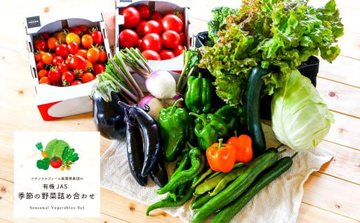 有機JAS認定　季節の野菜詰め合わせ～有機野菜セットB～